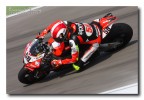 Forza Sic Forza Sic