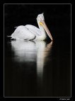 Bianco e nero Bianco e nero