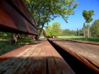 Ant POV