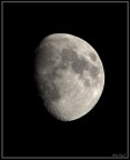Luna Milanese Luna Milanese