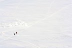Neve Neve