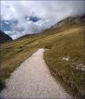 Per il Sentiero .. Per il Sentiero ..