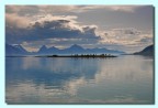 Norvegia - Nvigazione sui fiordi Norvegia - Nvigazione sui fiordi