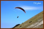 Parapendio Parapendio