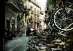 palermo bikes palermo bikes