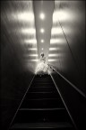 Wedding Wedding
