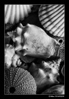 ...ricordi di una casa... ...ricordi di una casa...