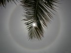 EFFETTO SOLE EFFETTO SOLE