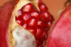 Chicchi di melagrana