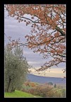 Campagna Toscana Campagna Toscana