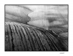 ...LAND...