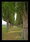 Per il Paradiso.... Per il Paradiso....