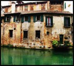 Treviso scrostata Treviso scrostata