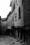 L'Indifferenza L'Indifferenza