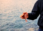 Il frutto della fatica Il frutto della fatica