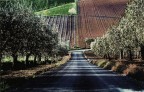 ujna strada...una storia... ujna strada...una storia...