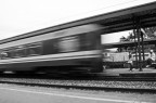 _MG_9087 _MG_9087
