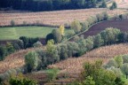 Colli Berici Colli Berici