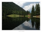 Il piccolo Lago dei Caprioli in localit� Fazzon (Trentino)
Graditi i vs commenti
