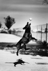 Kika Freestyle Kika Freestyle