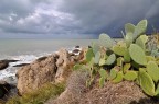 Il sole all'improvviso Il sole all'improvviso