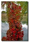 Colori d'autunno Colori d'autunno
