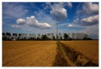 Paesaggio padano Paesaggio padano