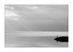 pescatore pescatore