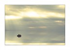 la quiete dopo la tempesta la quiete dopo la tempesta