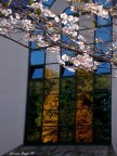 Primavera d'autunno Primavera d'autunno