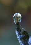 Dove c'� acqua c'� vita...