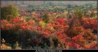 autunno intorno a noi autunno intorno a noi