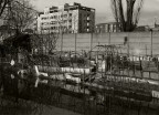 Disordine agricolo/metropolitano Disordine agricolo/metropolitano