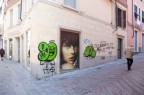 IMG_7411 IMG_7411