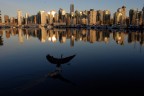 Airone a Vancouver Airone a Vancouver