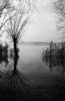 riflessi riflessi