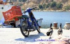 l'indecisione.... l'indecisione....