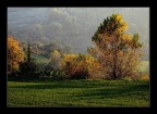 Luce d'Ottobre Luce d'Ottobre