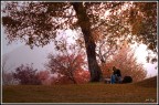 rapita dall'autunno rapita dall'autunno