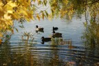 Ultimo sole d'autunno Ultimo sole d'autunno