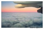 Volare Volare