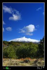 L'autunno sull'Etna L'autunno sull'Etna