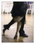 milonga6 milonga6