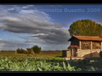 campagna veneta campagna veneta