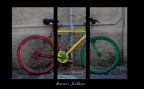 jamaica jamaica