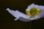 Tra le nuvole....il sole ! Tra le nuvole....il sole !