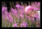 rosa_nel_rosa rosa_nel_rosa