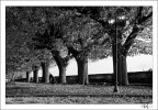 Giornata autunnale Giornata autunnale