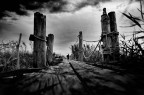 BW? !Over the bridge! BW? !Over the bridge!