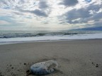 OVE L' ONDA S' INFRANGE OVE L' ONDA S' INFRANGE